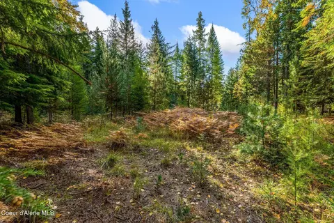 Nna Morris Road, Naples, ID 83847 photo 6