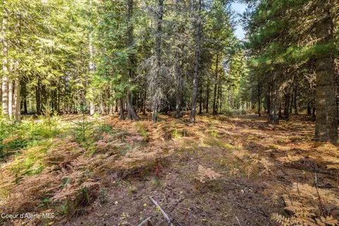 Nna Morris Road, Naples, ID 83847 photo 8