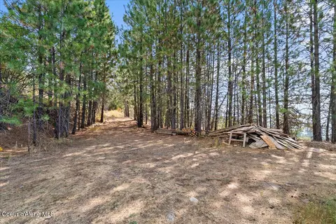 5674 E Holiday Rd, Harrison, ID 83833 photo 17