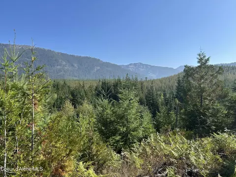 Tract 5 Usfs 2294, Clark Fork, ID 83811 photo 3
