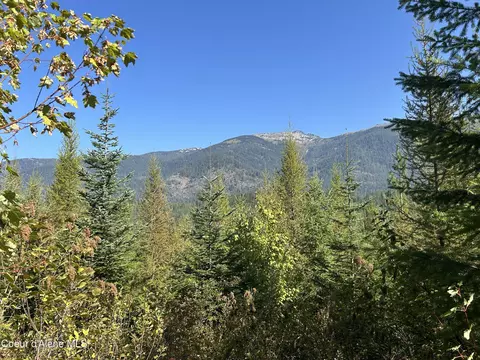 Tract 5 Usfs 2294, Clark Fork, ID 83811 photo 8