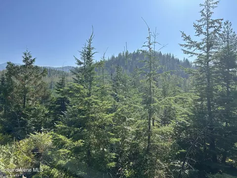 Tract 5 Usfs 2294, Clark Fork, ID 83811 photo 2