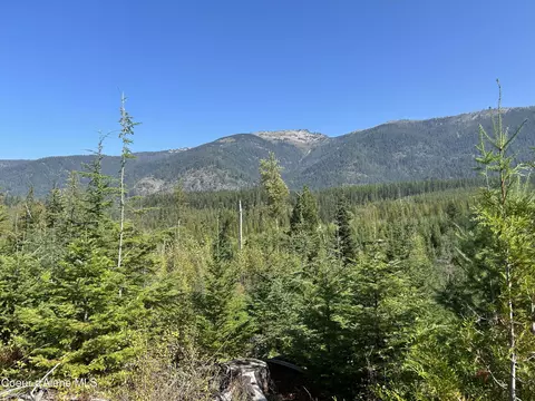 Tract 5 Usfs 2294, Clark Fork, ID 83811
