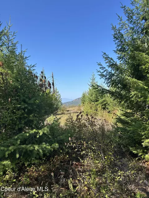 Tract 5 Usfs 2294, Clark Fork, ID 83811 photo 5