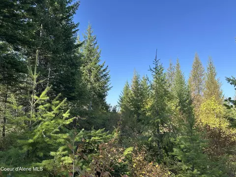 Tract 5 Usfs 2294, Clark Fork, ID 83811 photo 6