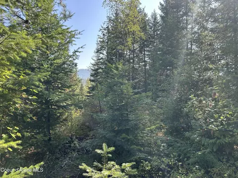 Tract 5 Usfs 2294, Clark Fork, ID 83811 photo 7
