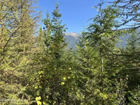 Tract 5 Usfs 2294, Clark Fork, ID 83811 photo 9