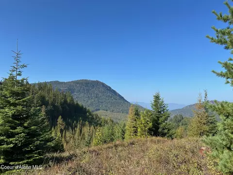 Tract 6 Usfs 2294, Clark Fork, ID 83811