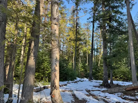 9775 Bottle Bay Rd, Sagle, ID 83860