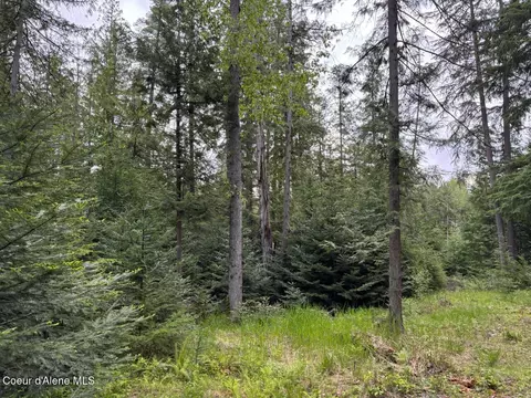 9775 Bottle Bay Rd, Sagle, ID 83860