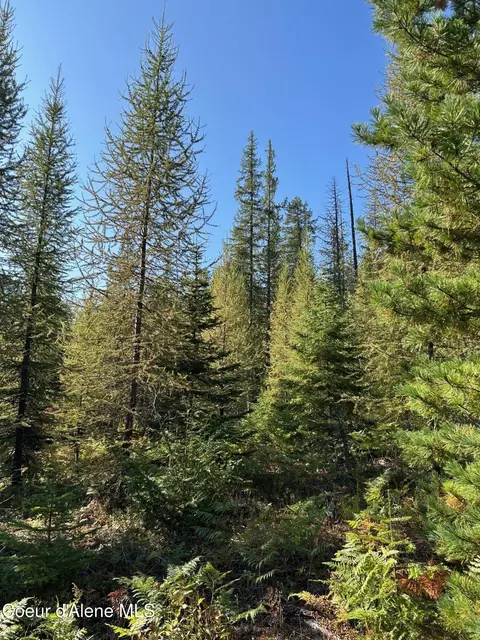 Tract 7 Usfs 2294, Clark Fork, ID 83811 photo 11