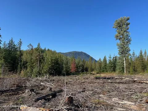 Tract 7 Usfs 2294, Clark Fork, ID 83811 photo 3
