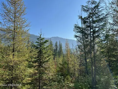Tract 7 Usfs 2294, Clark Fork, ID 83811 photo 8