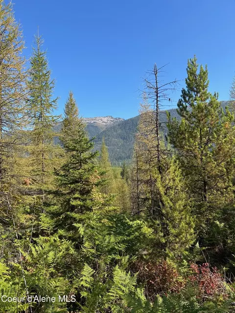 Tract 7 Usfs 2294, Clark Fork, ID 83811 photo 12