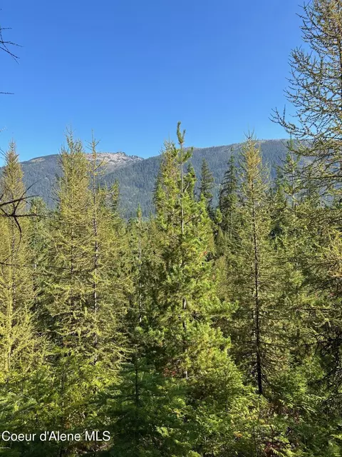 Tract 7 Usfs 2294, Clark Fork, ID 83811 photo 9