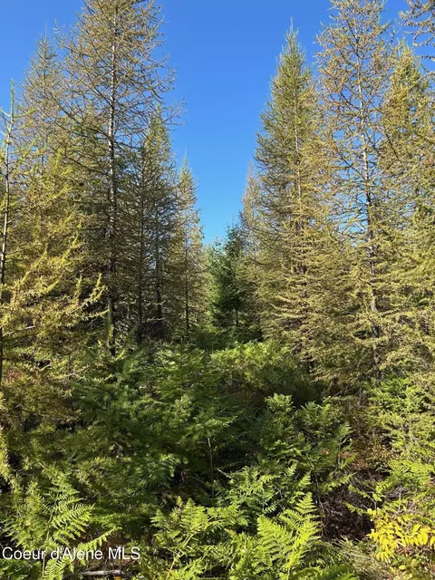 Tract 7 Usfs 2294, Clark Fork, ID 83811 photo 10