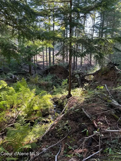 Tract 7 Usfs 2294, Clark Fork, ID 83811 photo 6