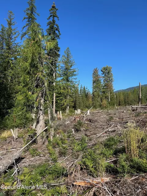 Tract 7 Usfs 2294, Clark Fork, ID 83811 photo 4