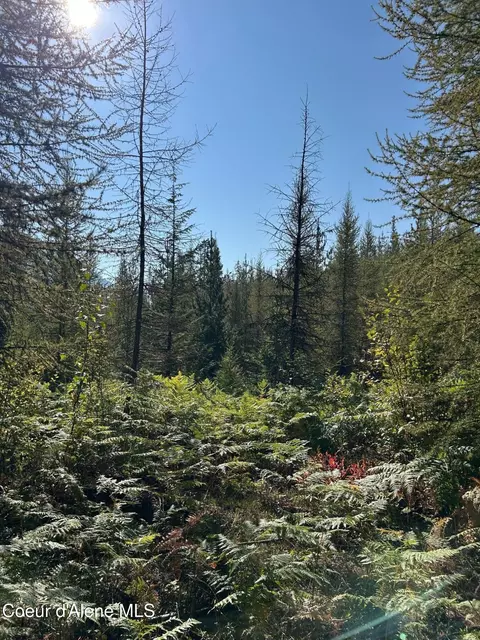 Tract 7 Usfs 2294, Clark Fork, ID 83811 photo 7