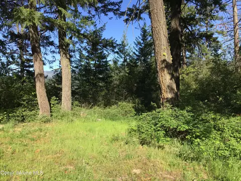Rufus Trail Lts 4, Saint Maries, ID 83861