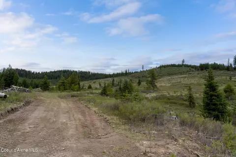 1175 Sheep Creek Parcel Parcel E, Santa, ID 83866 photo 7