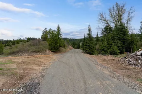 1175 Sheep Creek Parcel Parcel E, Santa, ID 83866 photo 8