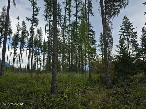 Nna Westside Rd Parcel 12, Bonners Ferry, ID 83805