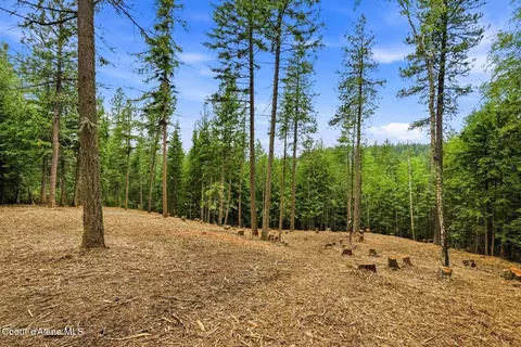 Nna Cedar Ridge, Dover, ID 83825 photo 8