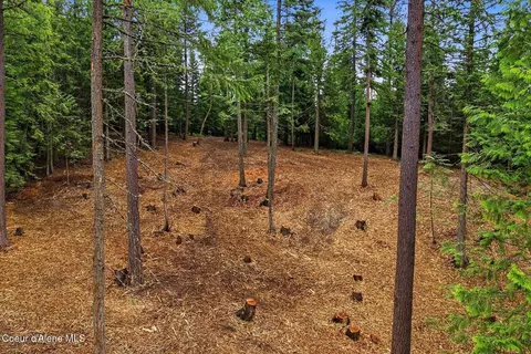 Nna Cedar Ridge, Dover, ID 83825 photo 10