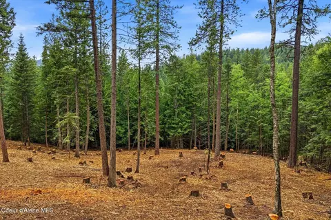 Nna Cedar Ridge, Dover, ID 83825 photo 12