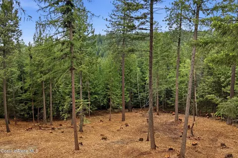 Nna Cedar Ridge, Dover, ID 83825 photo 9