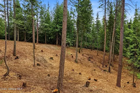 Nna Cedar Ridge, Dover, ID 83825 photo 11