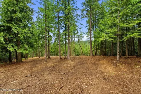 Nna Cedar Ridge, Dover, ID 83825 photo 17