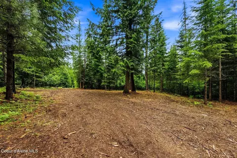 Nna Cedar Ridge, Dover, ID 83825 photo 14