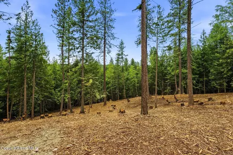 Nna Cedar Ridge, Dover, ID 83825 photo 16