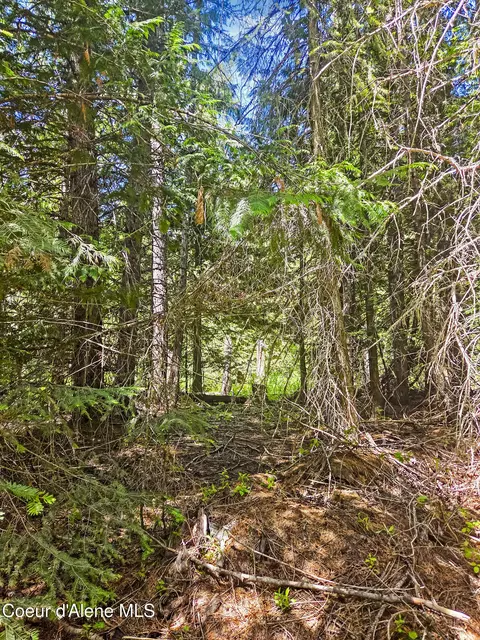 Nna Tanglewood Dr, Priest River, ID 83856