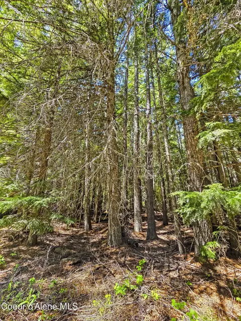 Nna Tanglewood Dr, Priest River, ID 83856