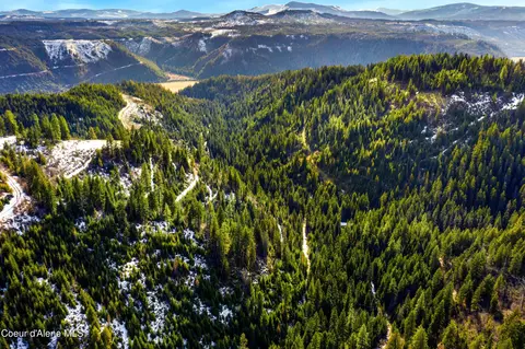 Nka Philips Draw Rd., Saint Maries, ID 83861