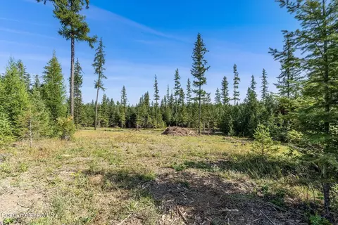 Exterior - Db Lot 11 Blk 1 Leonard Loop, Athol, ID 83801 photo 3 of 5