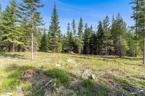 Exterior - Db Lot 11 Blk 1 Leonard Loop, Athol, ID 83801 photo 4 of 5