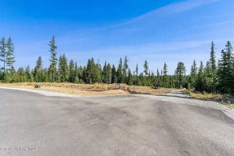 Other - Db Lot 11 Blk 1 Leonard Loop, Athol, ID 83801 photo 4 of 10