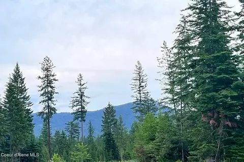 Other - Db Lot 11 Blk 1 Leonard Loop, Athol, ID 83801 photo 6 of 10