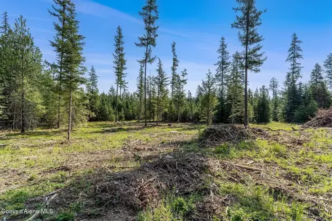 Exterior - Db Lot 11 Blk 1 Leonard Loop, Athol, ID 83801 photo 5 of 5