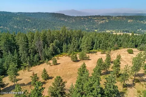 5254 E Mabel Ln, Harrison, ID 83833 photo 13