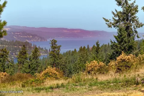 5254 E Mabel Ln, Harrison, ID 83833 photo 25