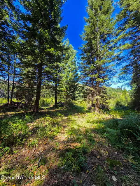 Nna Pup Paw Trail, Priest River, ID 83856