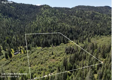 Nna Pup Paw Trail, Priest River, ID 83856