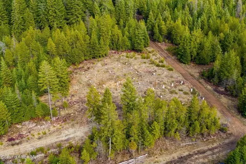 49 Zig Zag Way, Athol, ID 83801 photo 48