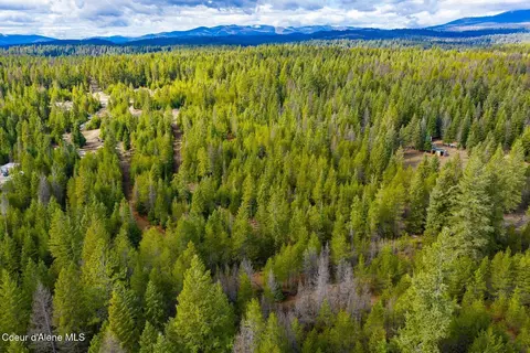 49 Zig Zag Way, Athol, ID 83801 photo 41