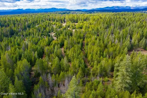 49 Zig Zag Way, Athol, ID 83801 photo 40